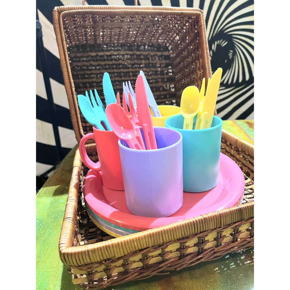 Vintage picnic set